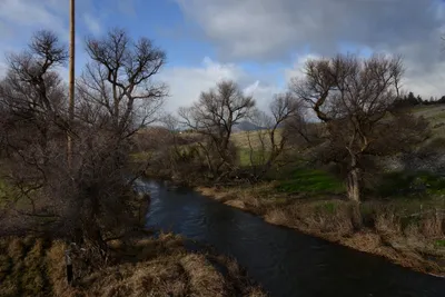 DSC_1024 (Large).JPG